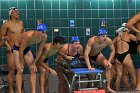 Swimming & Diving vs Babson  Swimming & Diving vs Babson College. - Photo by Keith Nordstrom : Wheaton, Swimming